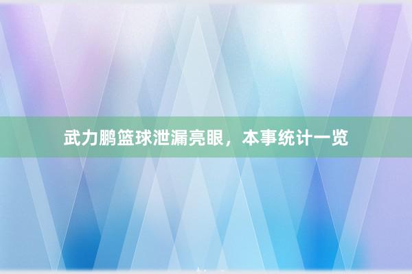 武力鹏篮球泄漏亮眼，本事统计一览