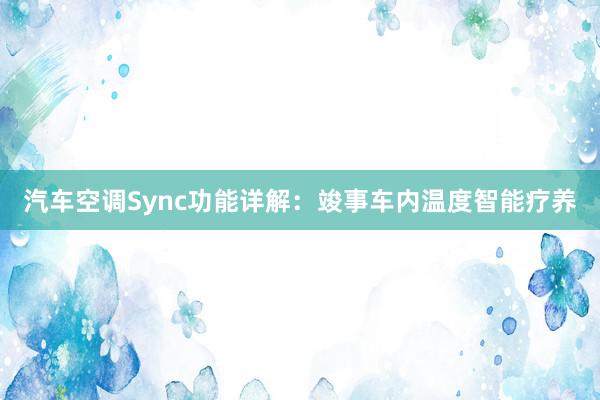 汽车空调Sync功能详解：竣事车内温度智能疗养